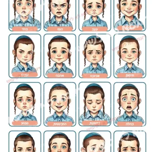 ערכות רגשות